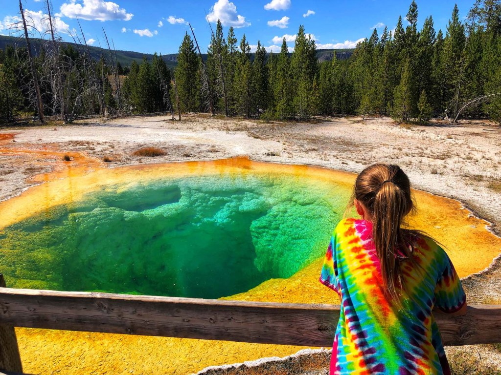 planning trip yellowstone national park - PLANNING A TRIP TO YELLOWSTONE:  THINGS TO KNOW
